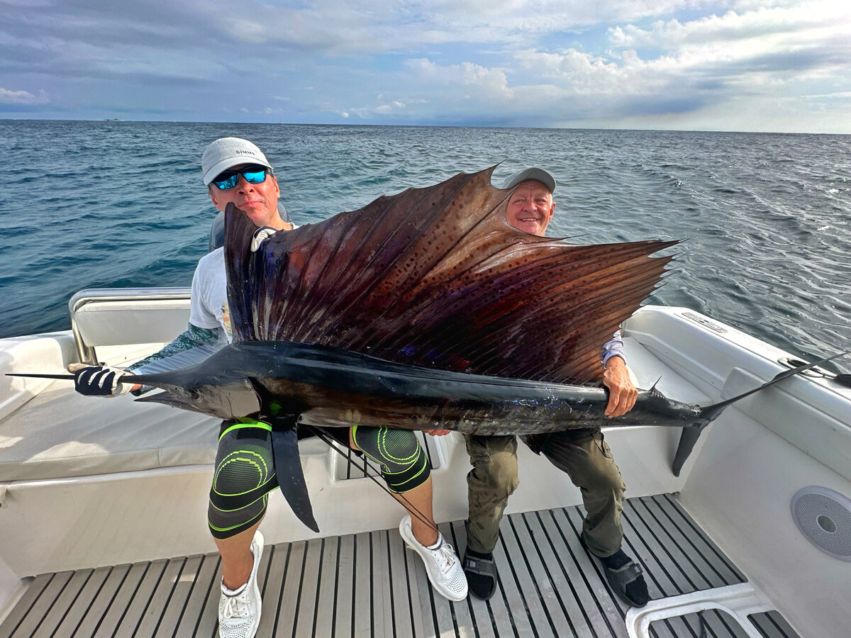 Парусник, пойман спиннингом, это норма для Сейшел.
