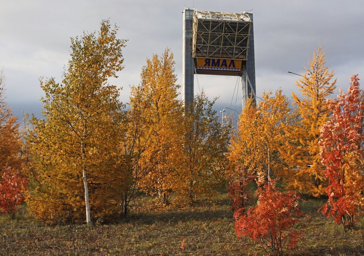 Библиотека салехард. Ленск.