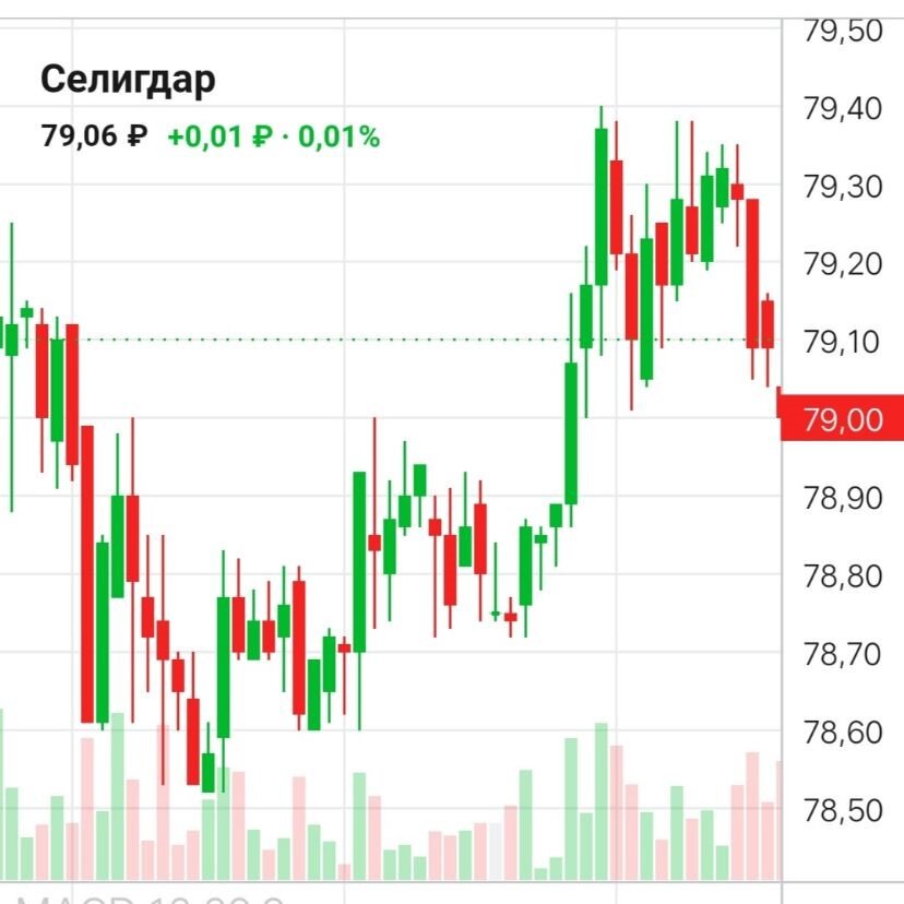 Трейдер должен отлично разбираться в техническом и фундаментальном анализе.