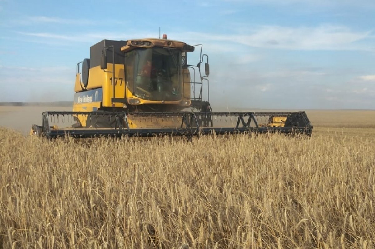    Хлеборобы Башкирии изменят стратегию сева и сделают ставку на озимые