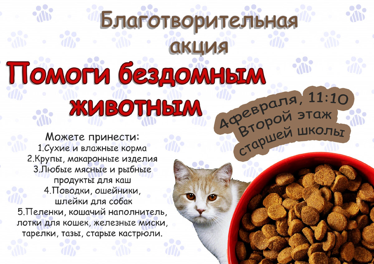 Акции для животных. Акция по сбору корма для бездомных животных. Сбор корма для животных. Акция по сбору корма для бездомных животных. Объявление о сборе корма для животных.