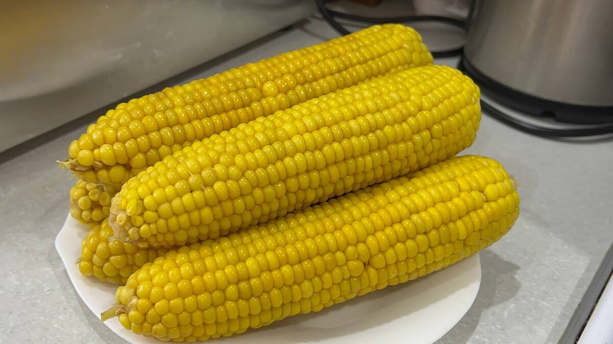 Фото автора.