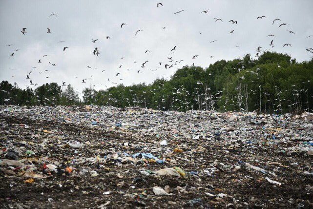 фото из открытых источников