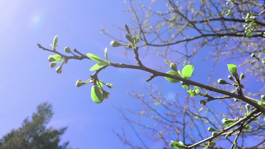 Фото – guvonhotelsblog.com