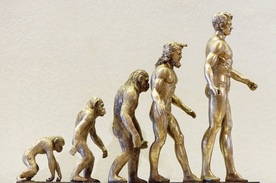 Фото: pixabay.com