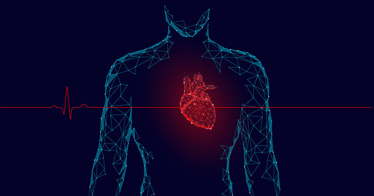 Сердце работает всю жизнь. Сердечно-сосудистая система человека. Моделирование в медицине. Сердце 3д модель анатомия. Компьютерная Графика сердце.