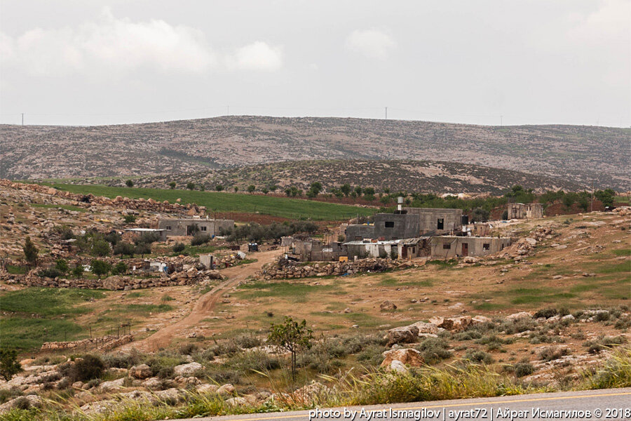 Дороги палестины. Дороги палестины. Синайско-палестинская кампания. Дорогами палестины. Израиль дороги.
