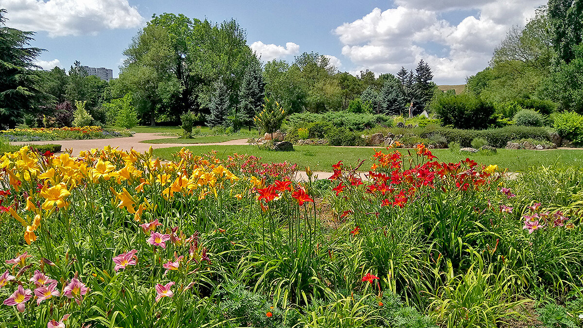 Ботанический сад кфу фото