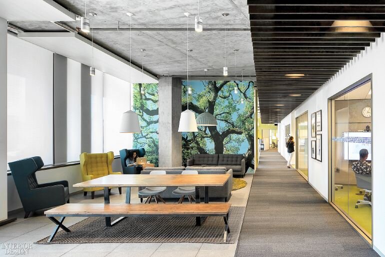 Intuit by Clive Wilkinson Architects and WRNS Studio in Mountain View, California.