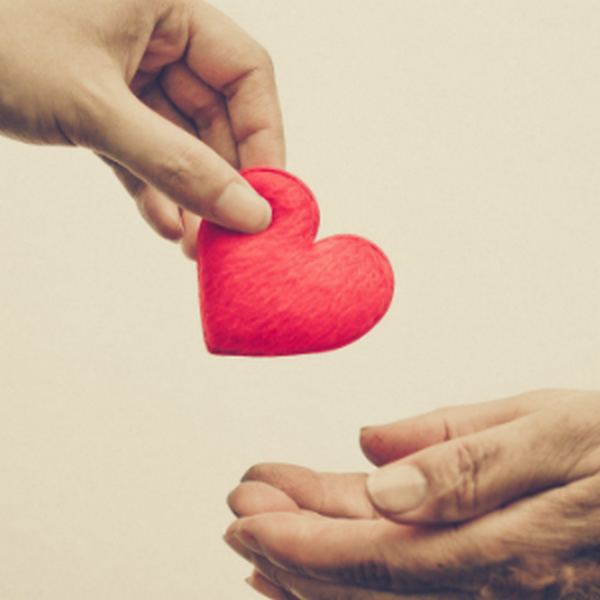 фото с сайта https://osvitanova.com