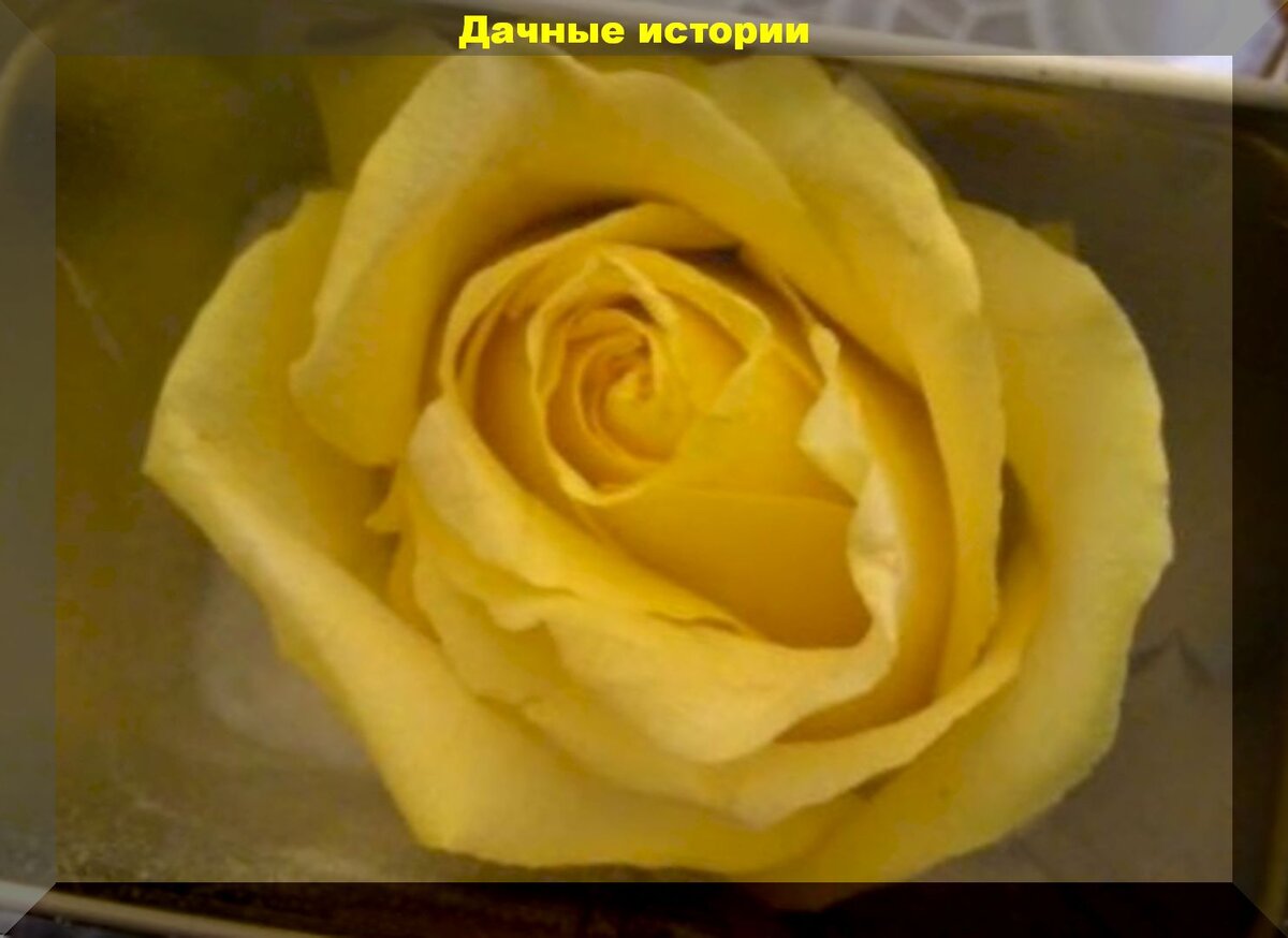https://vk.com/album-159774511_260662150