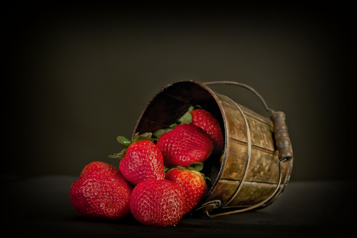 Изображение взято с сайта pixabay.com