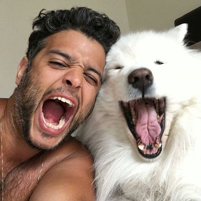 Фото Яндекс картинки