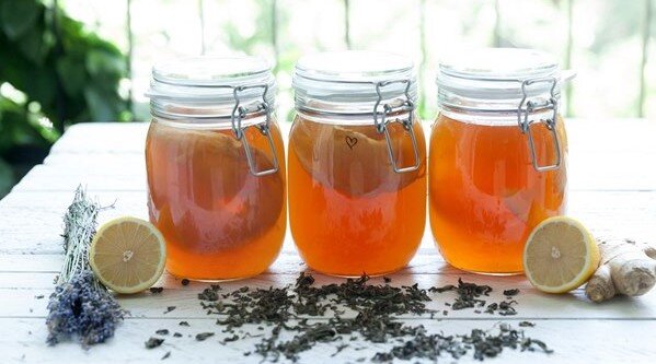 Чайный гриб.