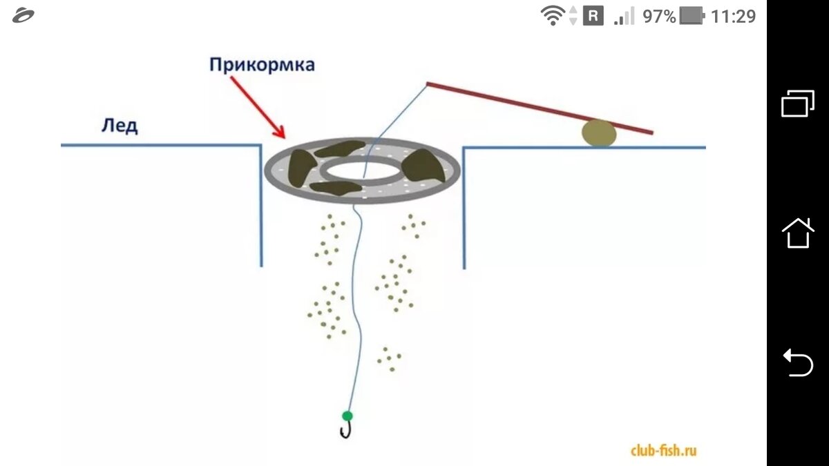 фото Как прикормить лунку со льда