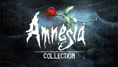 Amnesia Collection за 99р. Скидка 83%.