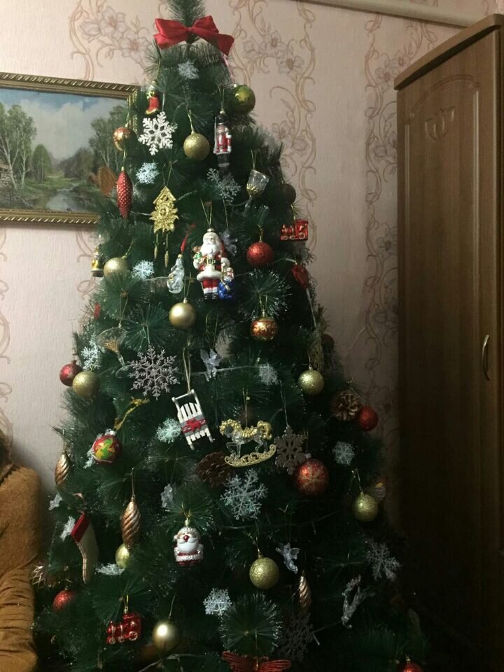 Так выглядит наша красавица в этом году.
