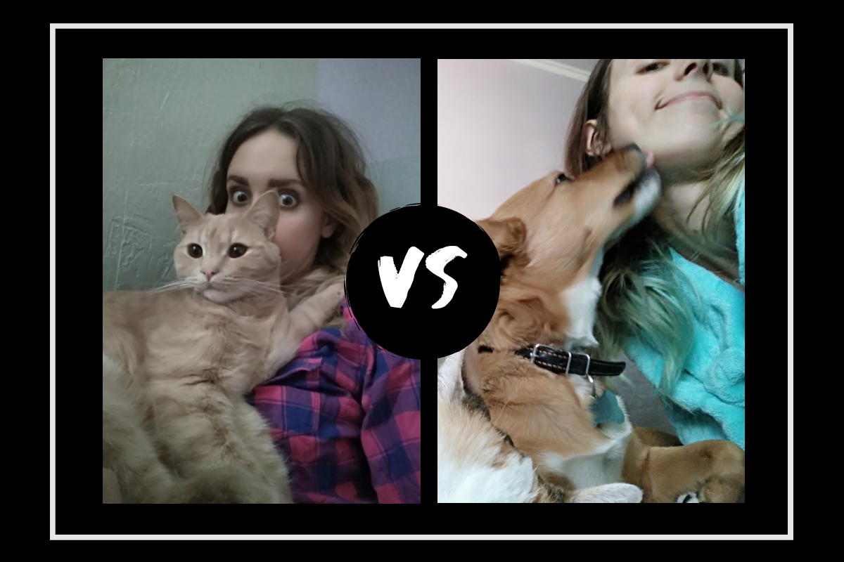 Котик Макс сам с удовольствием приходит обниматься и целоваться, как и Булка 😊