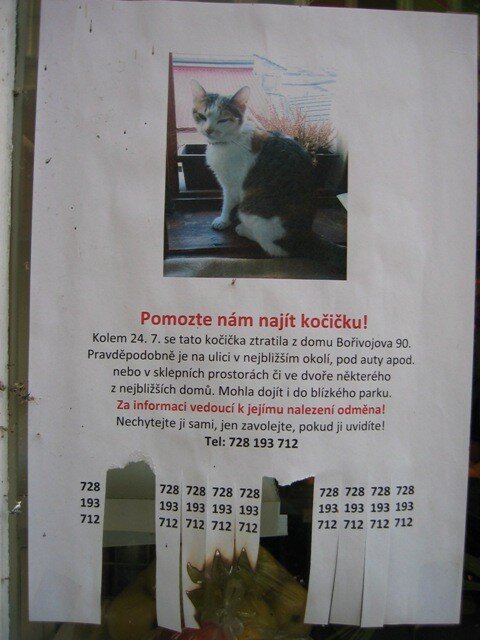 Снимок из личного архива.