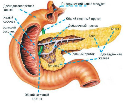 изображение взято из Яндекс. Картинки