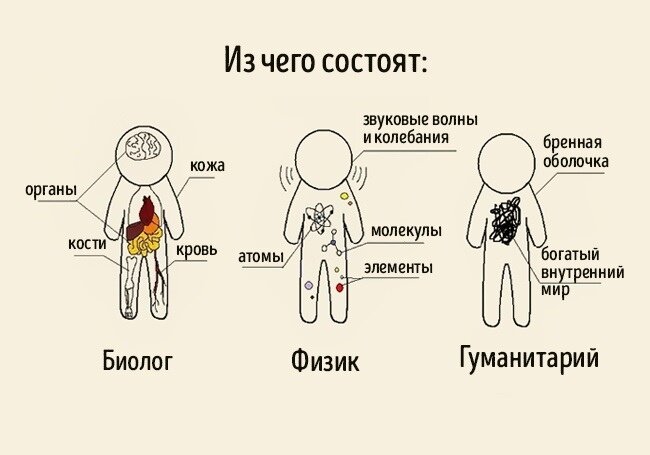 Картинка взята из открытого доступа в интернете 