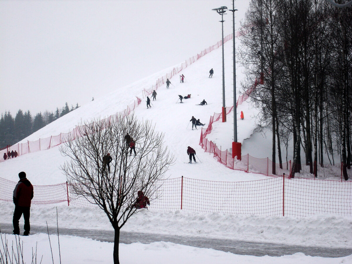 Фото из интернет источника