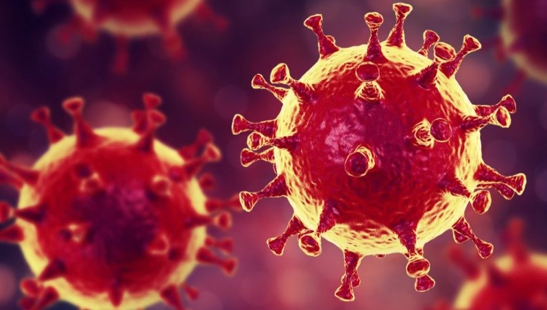 Фото из свободных источников.