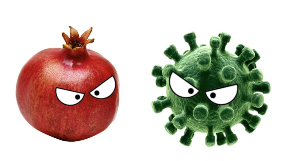 Virus vs virus