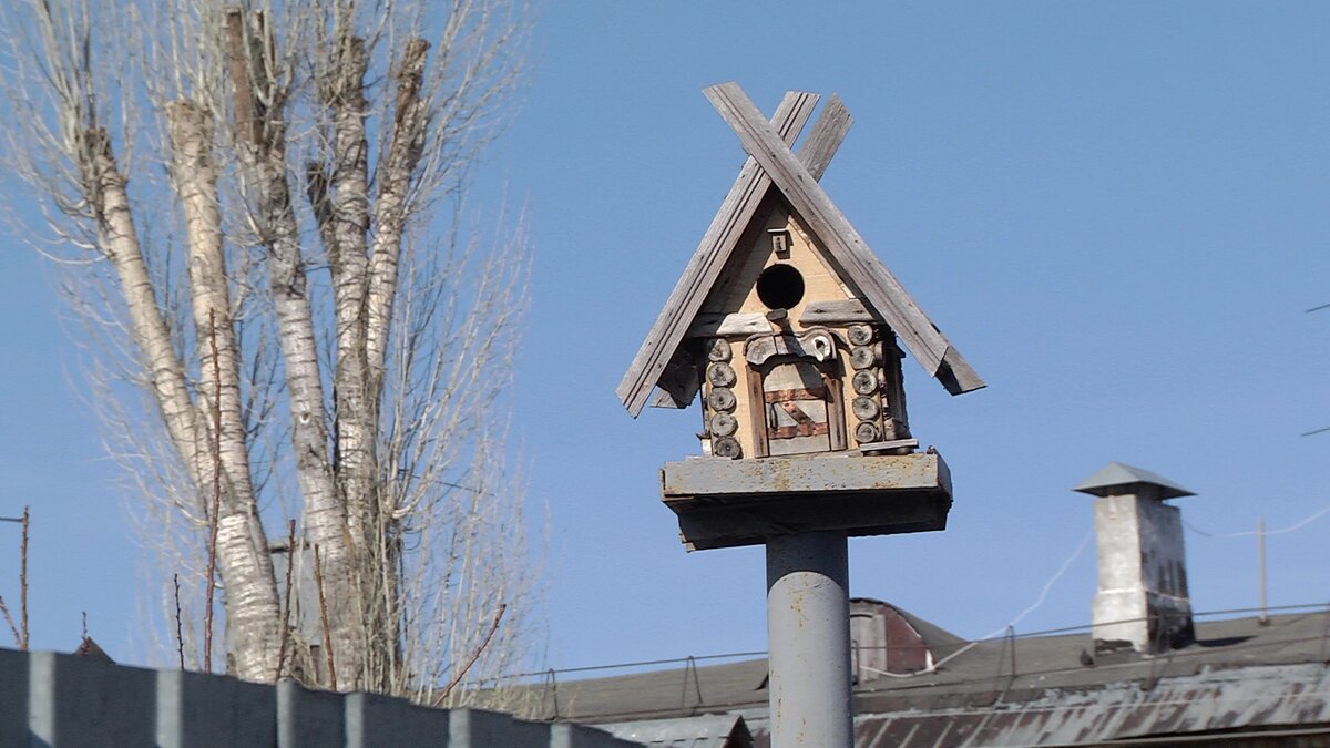 Скворечник  на сельском дворе (фото Марины Барковой)