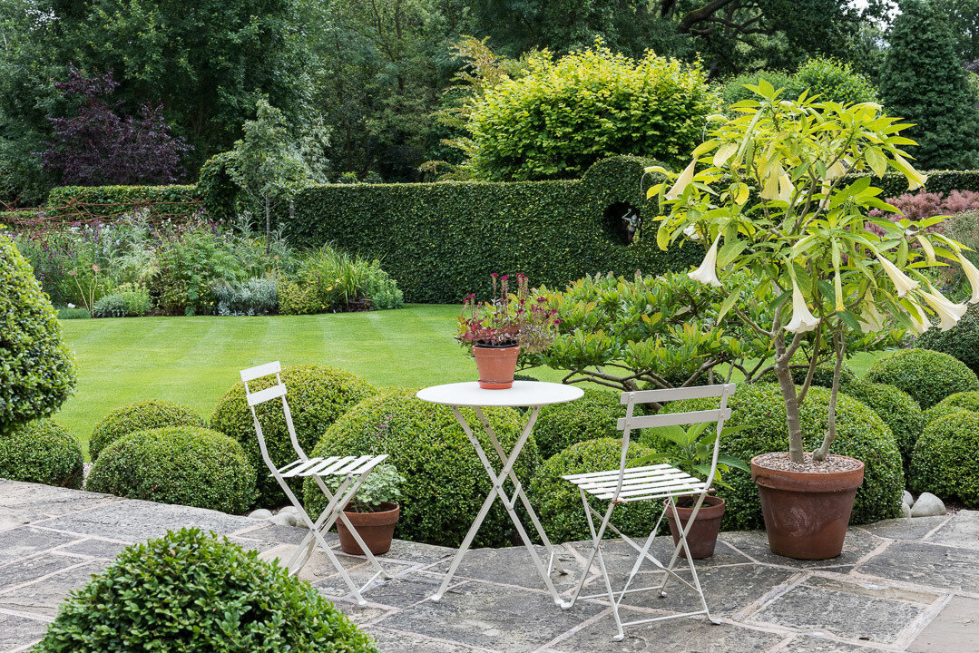 Фото из открытых источников