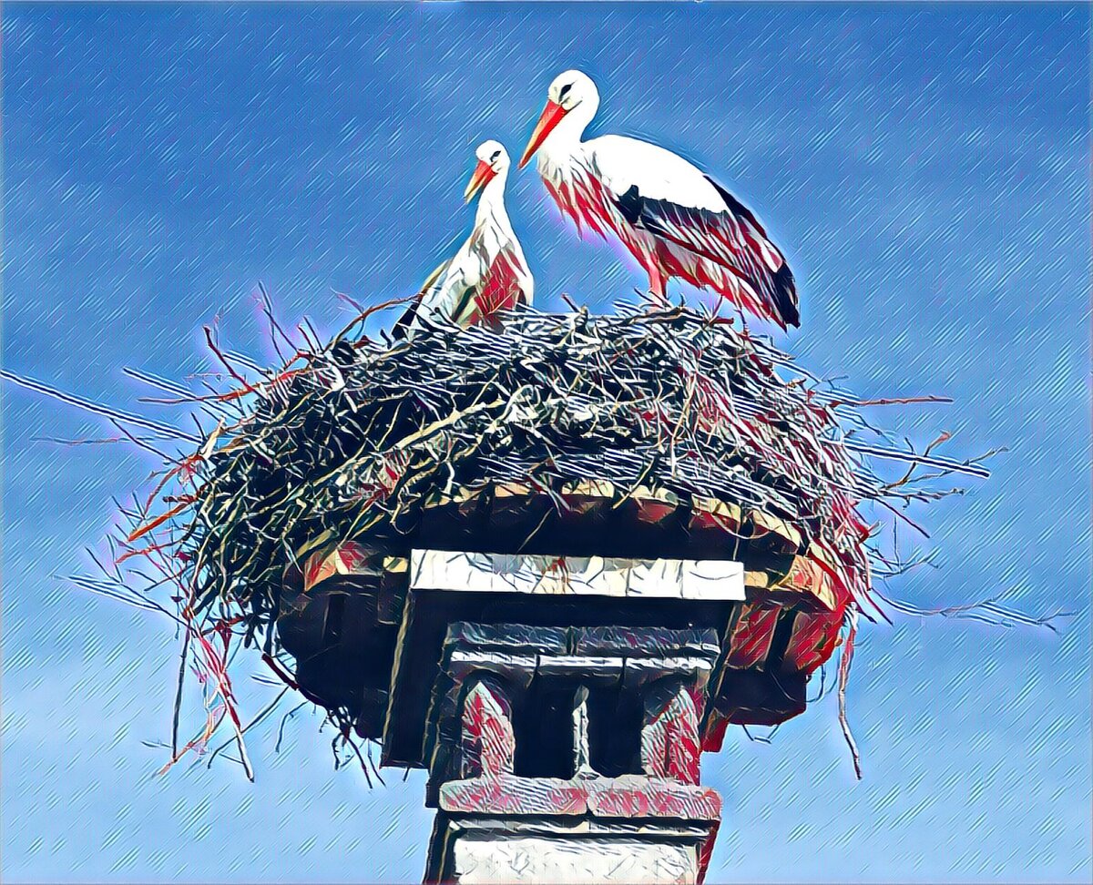 Нельзя домой!