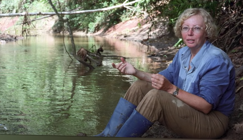 Работа в амазонских лесах.