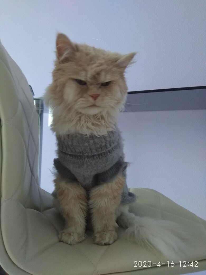 Вот они, эти глаза напротив))))