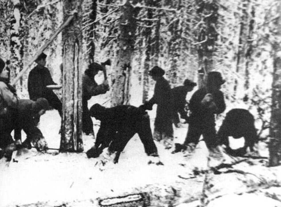 Фото из сервиса  Яндекс-картинок.