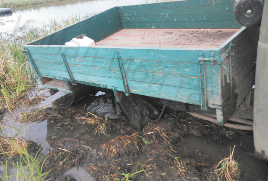 (Алексей во время прогулки немного застрял)