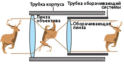 Оборачивающая система необходима, чтобы изображение не выглядело перевернутым с ног на голову.