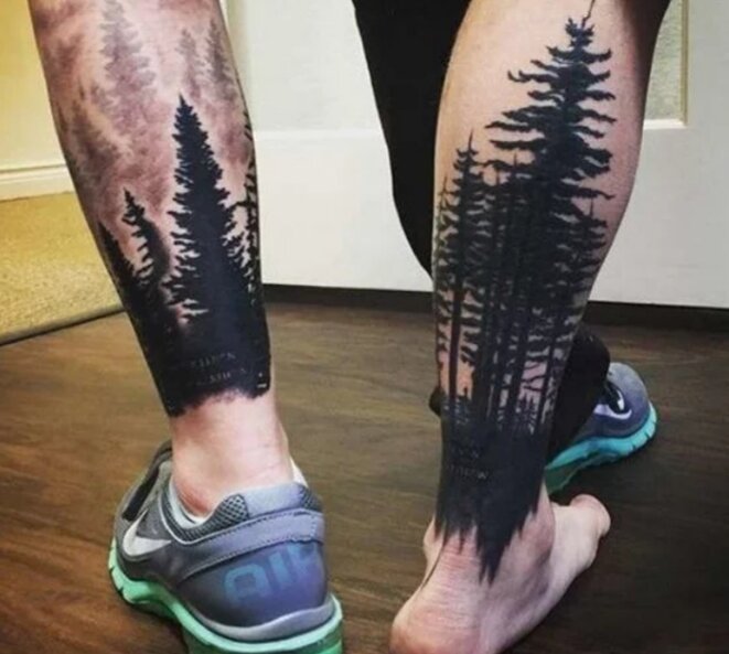 Фото взято с Сети 