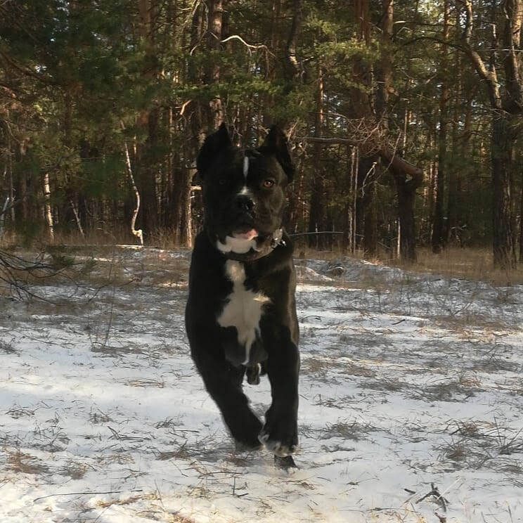 вижу цель - не вижу препятствий!
