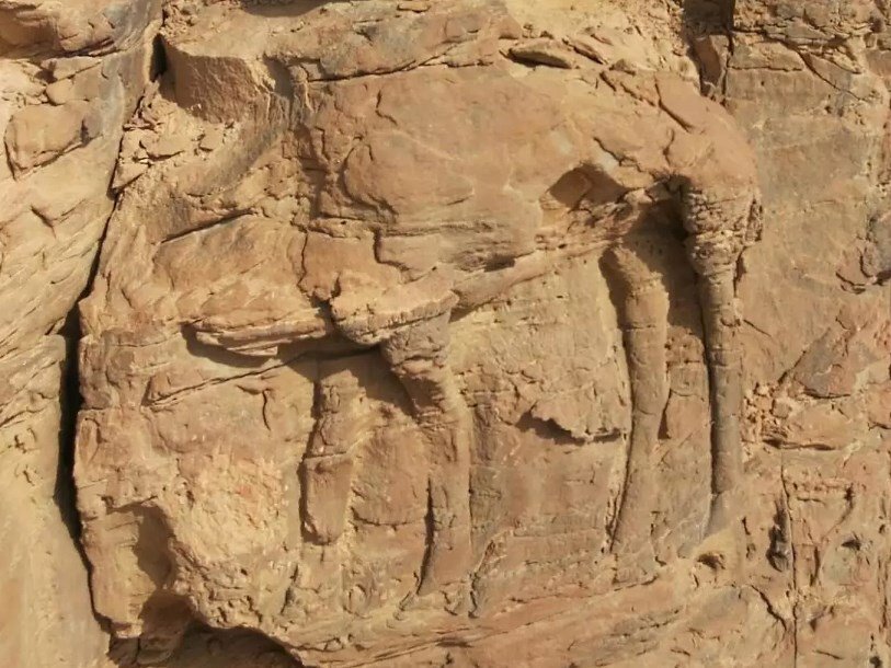 Древние наскальные изображения