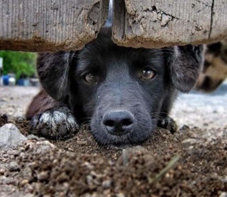 Юный друг