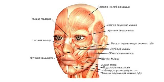 10 советов для идеальной кожи лица