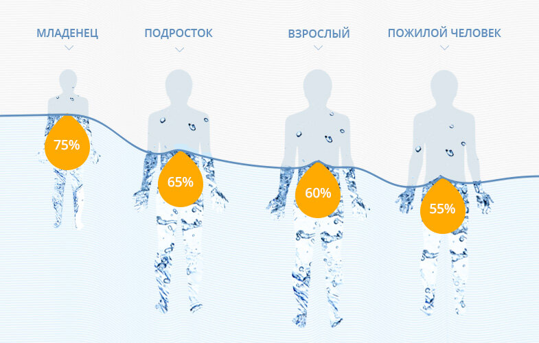 Вода – основной элемент организма человека, жизненно важный для работы органов и терморегуляции. В воде растворяется больше веществ, чем в любом другом растворителе. Для большинства происходящих в наших клетках химических реакций требуется вода. Вода нужна для транспортировки питательных веществ и кислорода ко всем клеткам тела. Она помогает преобразовывать пищу в энергию и усваивать питательные вещества. Вода поддерживает стабильность температуры тела и защищает жизненно важные органы, участвует в поддержании формы клеток и органов и важна для здоровья кожи. Вода помогает организму избавляться от отходов: с потом и уриной выходят многие шлаки, вода (слезы, слюна) вымывает и разбавляет едкие вещества. Вода также способствует дыханию.