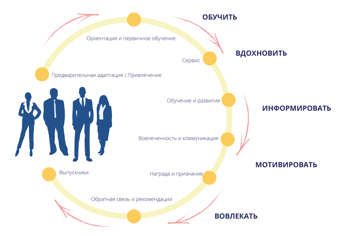 Фазы формирования опыта сотрудника в его жизненном цикле работы в организации