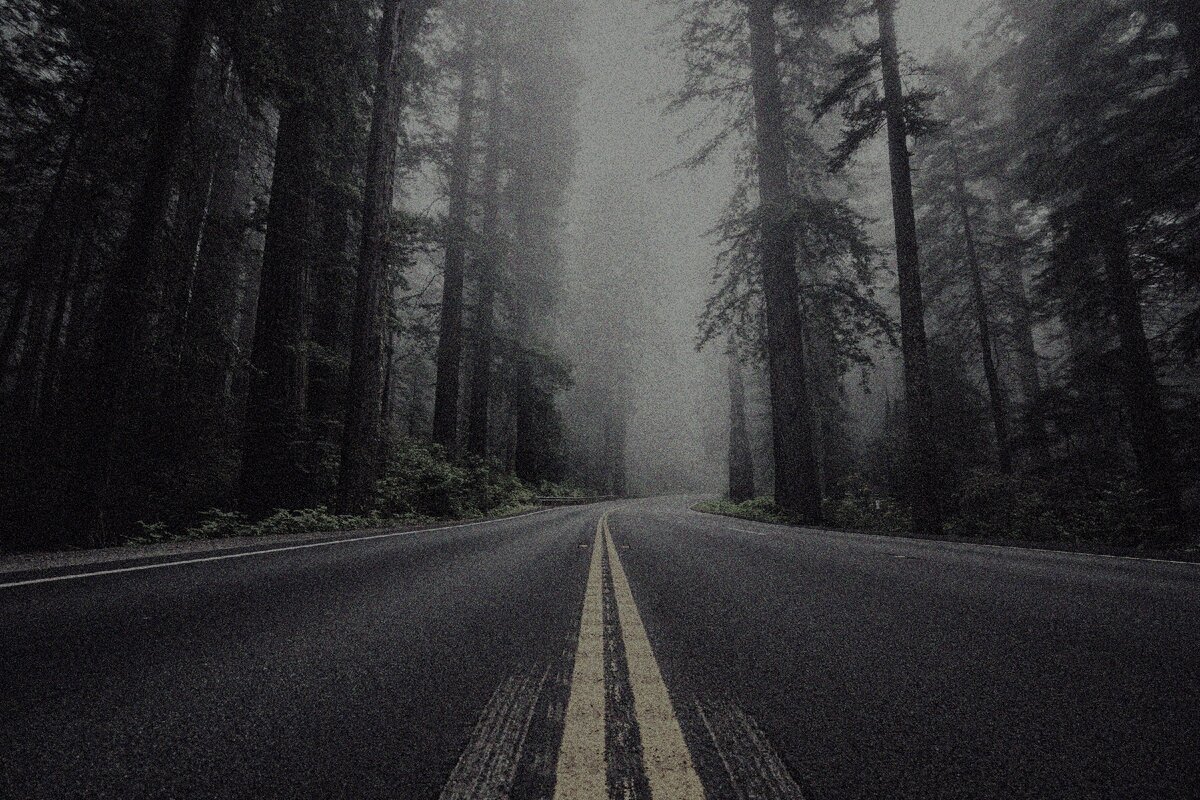 картинка из открытых источников.