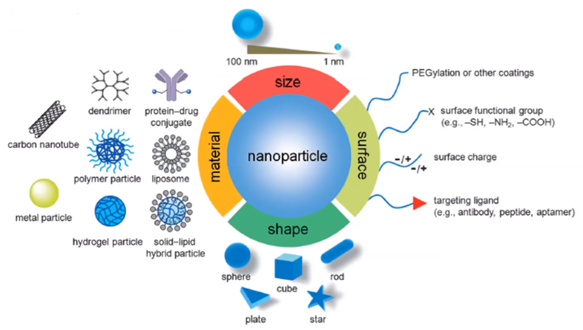 Against method. Targeted drug delivery. Drug delivery Systems. Nanoparticles. Drug delivery Nanoparticles.