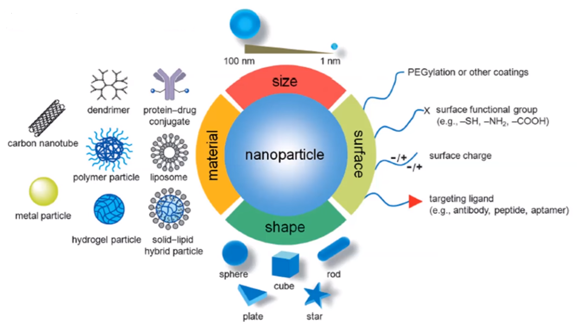 H et al 2012. Targeted drug delivery. Drug delivery Systems. Drug delivery Nanoparticles. Nanoparticles for drug delivery.