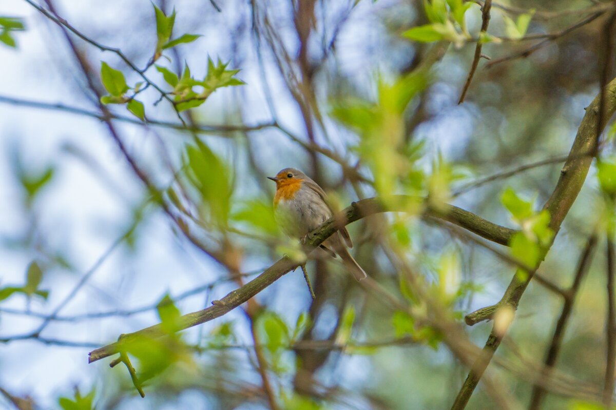авторское фото