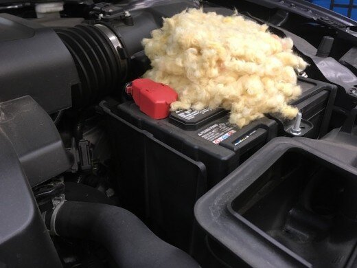 Мышиное гнездо построено на автомобильном аккумуляторе 