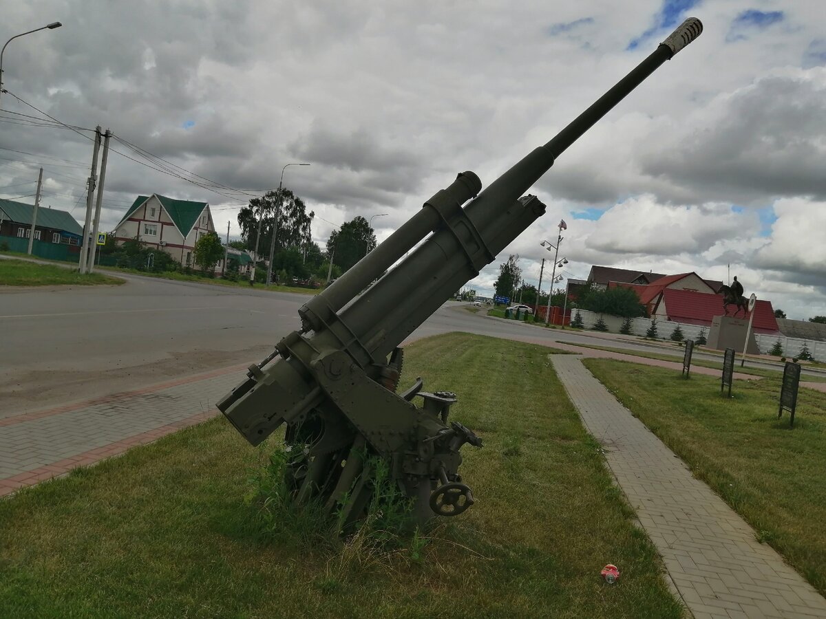 Въехали в посёлок Александро - Невский, тут же нас встретил рыцарь на ...