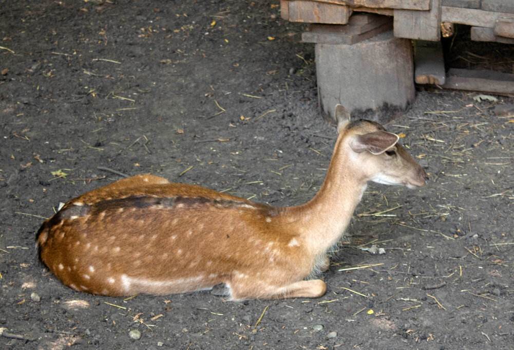 Фото из личного архива